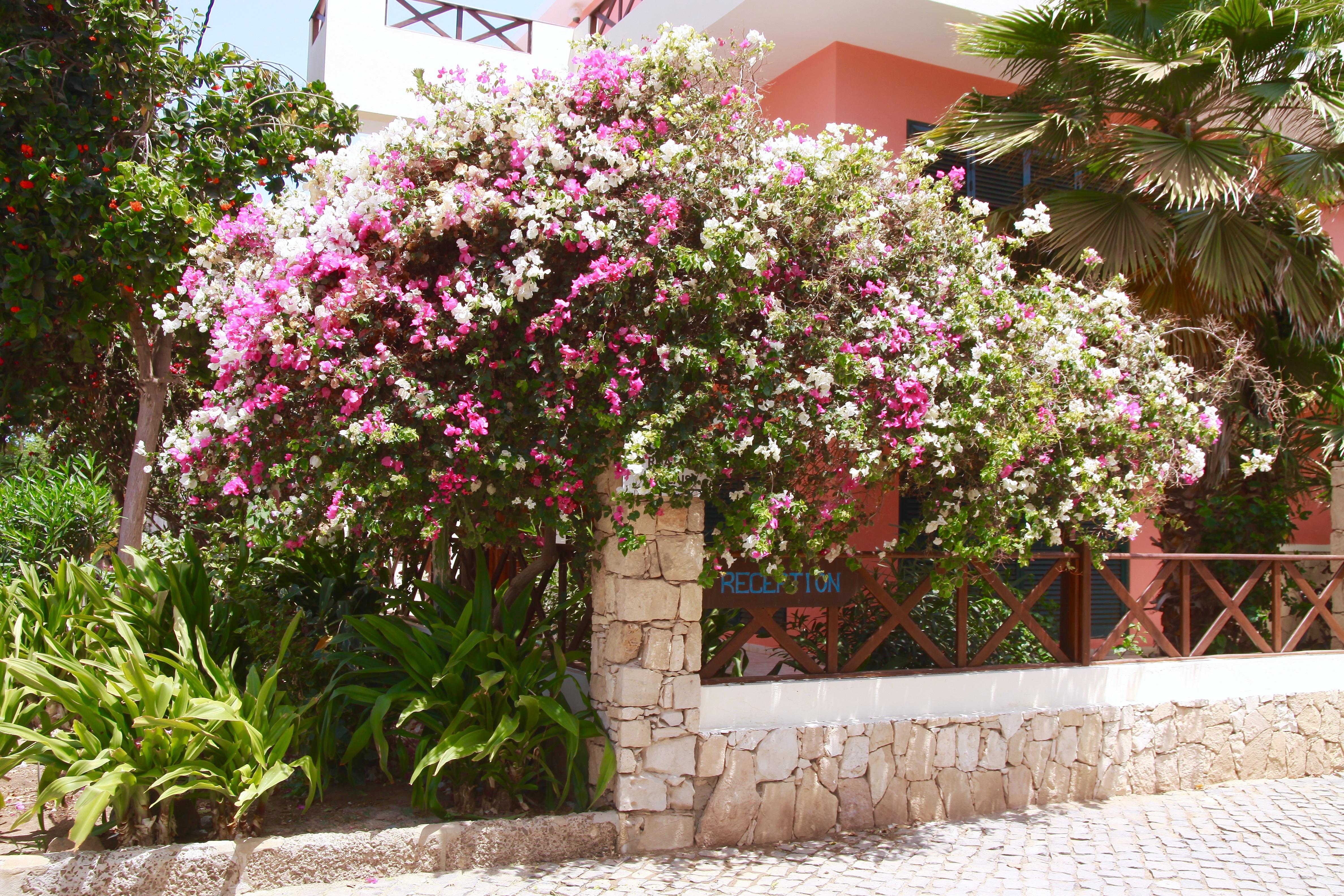 Aparthotel Ponta Preta サンタ・マリア エクステリア 写真